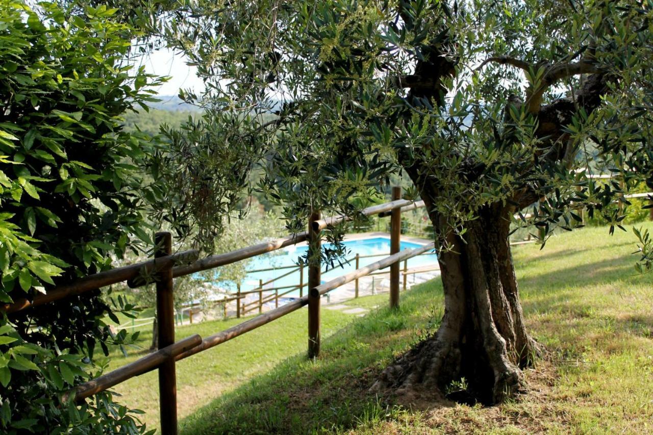 Agriturismo Malagronda Ravigliano Екстер'єр фото